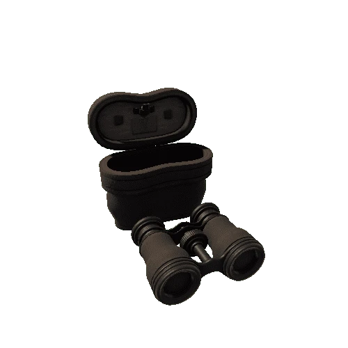 Binoculars With Case